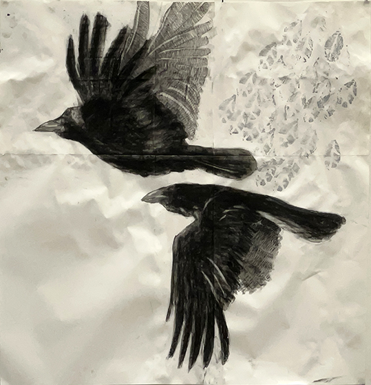 You should always look down on a Circus